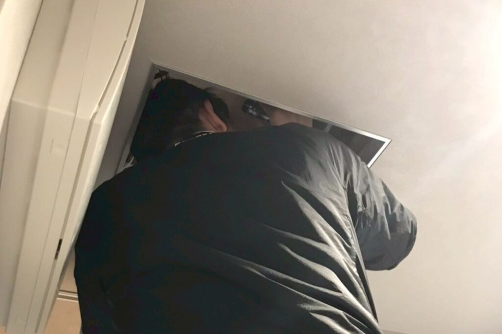 作業服を着た点検スタッフが、懐中電灯を手に住宅の天井裏をのぞき込み調査している様子。